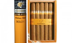 Donec tellus leo
