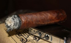 Одновременно играет  10 команд, по шесть игроков в каждой.
